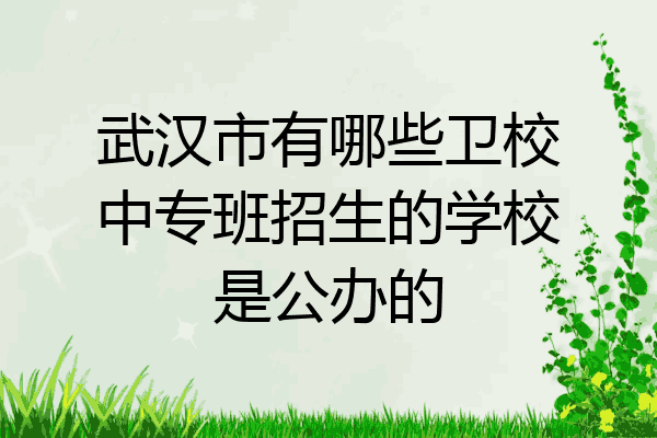 武汉市有哪些卫校中专班招生的学校是公办的
