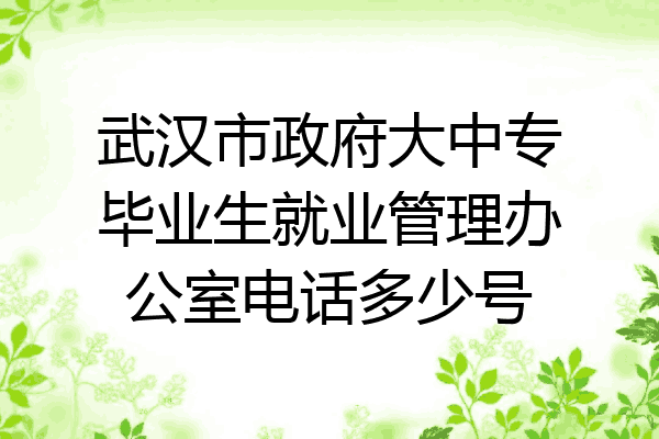 武汉市政府大中专毕业生就业管理办公室电话多少号