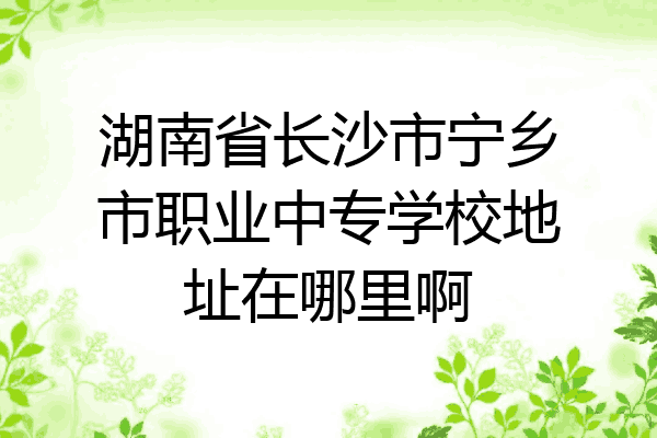 湖南省长沙市宁乡市职业中专学校地址在哪里啊