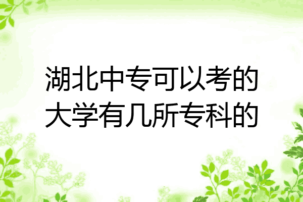 湖北中专可以考的大学有几所专科的