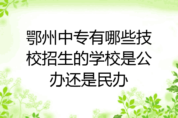 鄂州中专有哪些技校招生的学校是公办还是民办