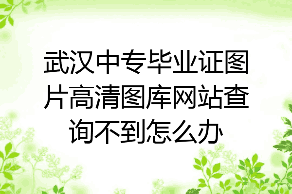 武汉中专毕业证图片高清图库网站查询不到怎么办