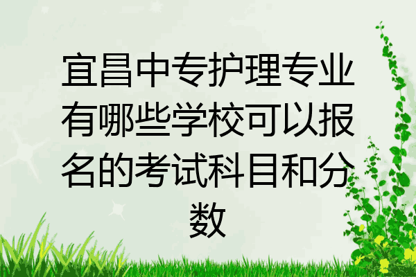 宜昌中专护理专业有哪些学校可以报名的考试科目和分数