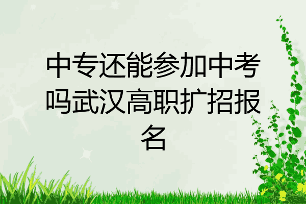 中专还能参加中考吗武汉高职扩招报名