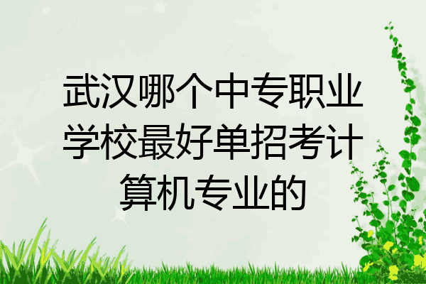 武汉哪个中专职业学校最好单招考计算机专业的