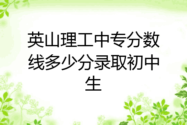 英山理工中专分数线多少分录取初中生