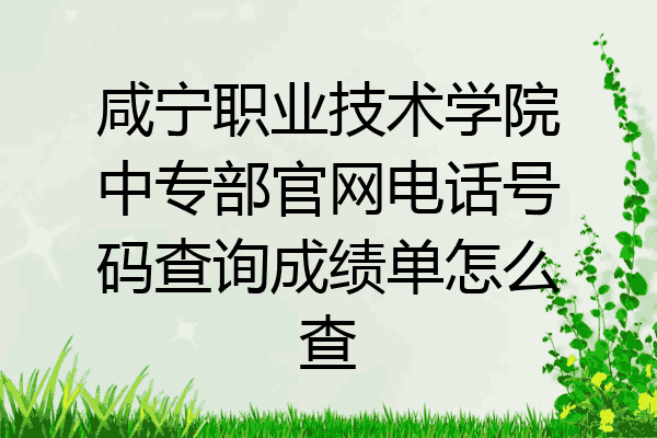 咸宁职业技术学院中专部官网电话号码查询成绩单怎么查