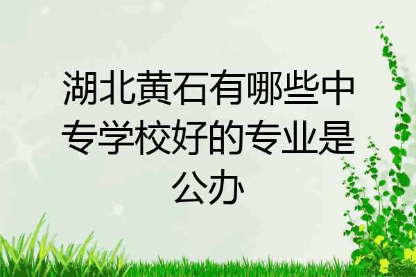 湖北黄石有哪些中专学校好的专业是公办