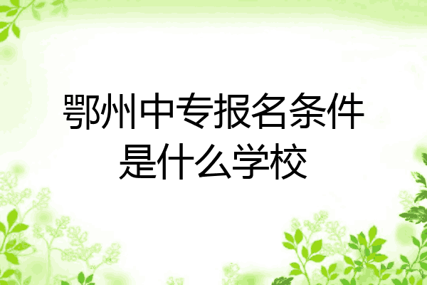 鄂州中专报名条件是什么学校