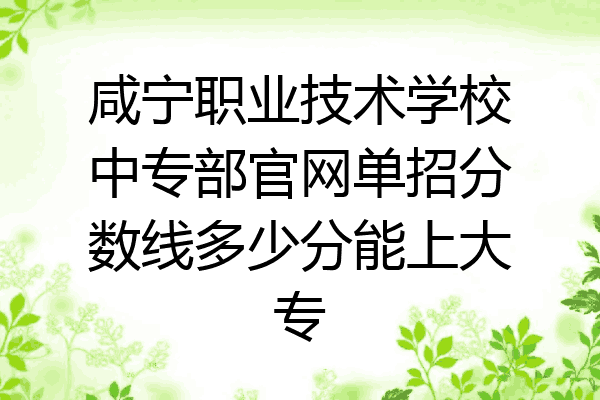 咸宁职业技术学校中专部官网单招分数线多少分能上大专