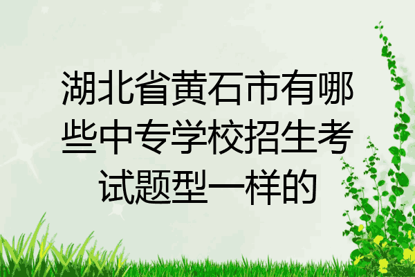 湖北省黄石市有哪些中专学校招生考试题型一样的