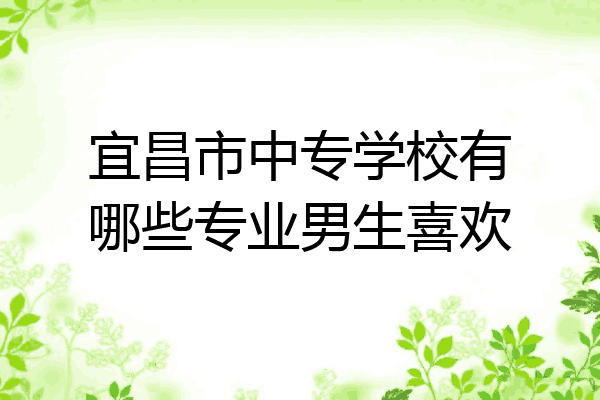宜昌市中专学校有哪些专业男生喜欢