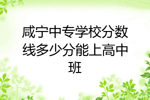 咸宁中专学校分数线多少分能上高中班