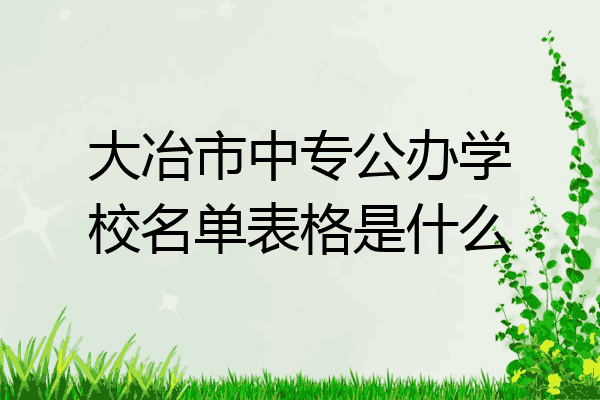 大冶市中专公办学校名单表格是什么