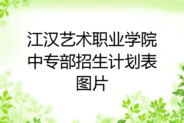 江汉艺术职业学院中专部招生计划表图片