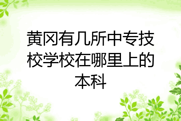 黄冈有几所中专技校学校在哪里上的本科
