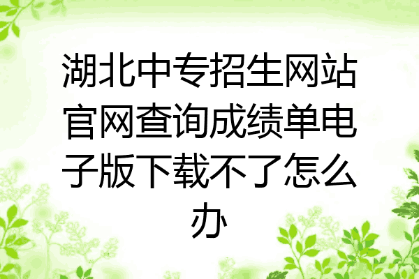 湖北中专招生网站官网查询成绩单电子版下载不了怎么办
