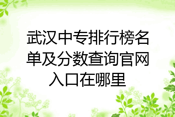 武汉中专排行榜名单及分数查询官网入口在哪里