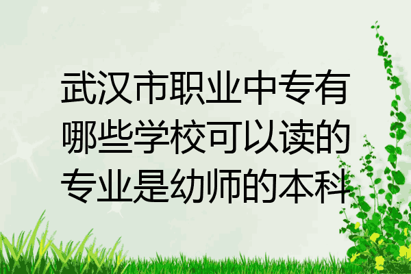 武汉市职业中专有哪些学校可以读的专业是幼师的本科