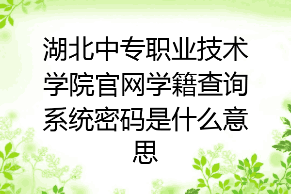 湖北中专职业技术学院官网学籍查询系统密码是什么意思