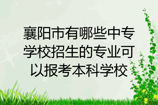 襄阳市有哪些中专学校招生的专业可以报考本科学校
