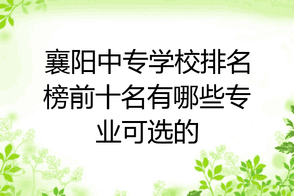 襄阳中专学校排名榜前十名有哪些专业可选的