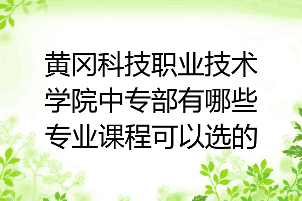 黄冈科技职业技术学院中专部有哪些专业课程可以选的