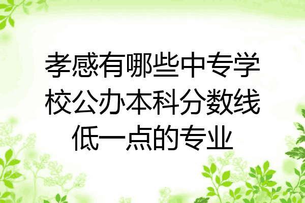 孝感有哪些中专学校公办本科分数线低一点的专业