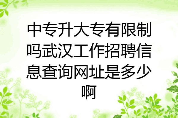 中专升大专有限制吗武汉工作招聘信息查询网址是多少啊