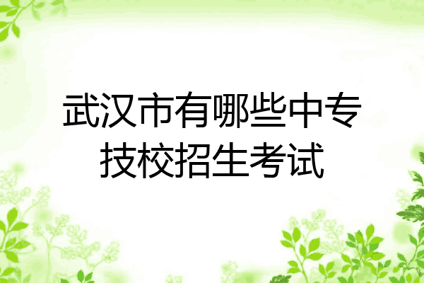 武汉市有哪些中专技校招生考试
