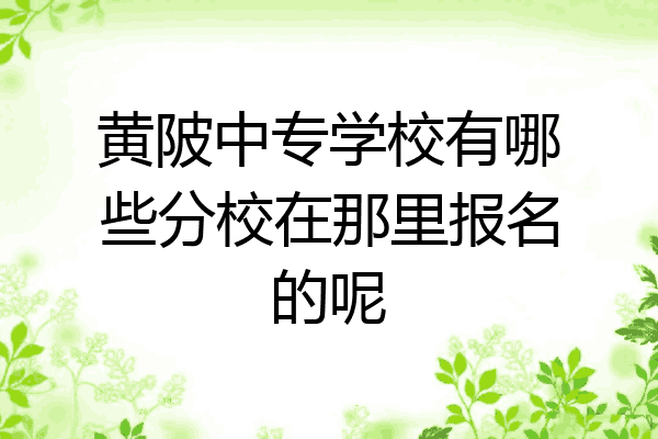 黄陂中专学校有哪些分校在那里报名的呢