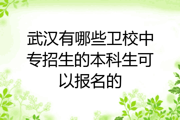 武汉有哪些卫校中专招生的本科生可以报名的