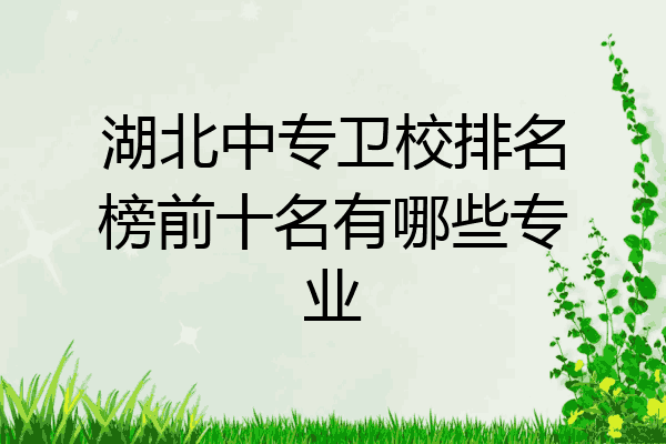 湖北中专卫校排名榜前十名有哪些专业