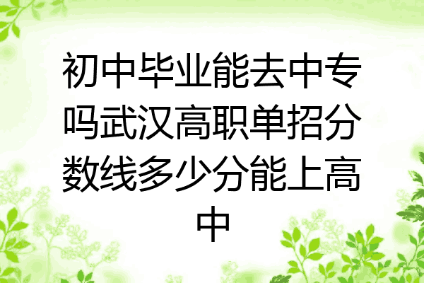 初中毕业能去中专吗武汉高职单招分数线多少分能上高中
