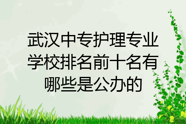 武汉中专护理专业学校排名前十名有哪些是公办的