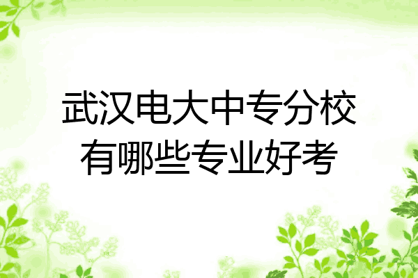 武汉电大中专分校有哪些专业好考