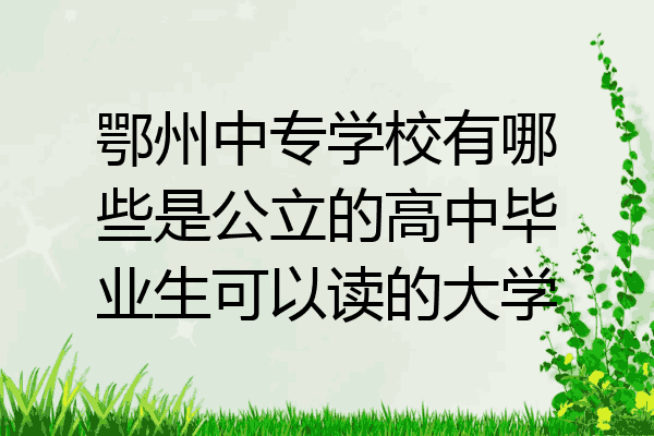 鄂州中专学校有哪些是公立的高中毕业生可以读的大学