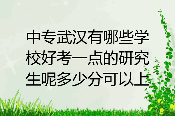 中专武汉有哪些学校好考一点的研究生呢多少分可以上