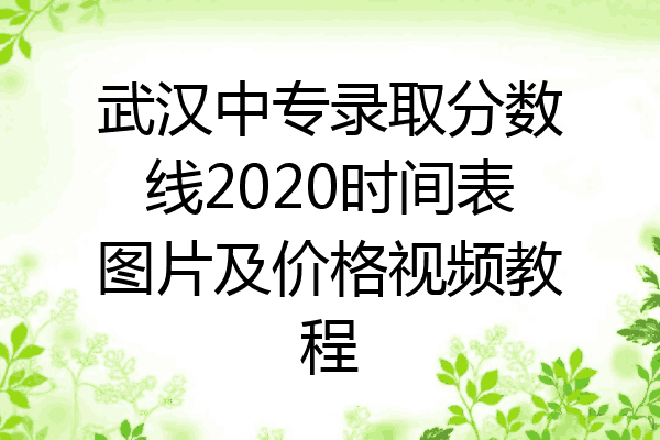 武汉中专录取分数线2020时间表图片及价格视频教程