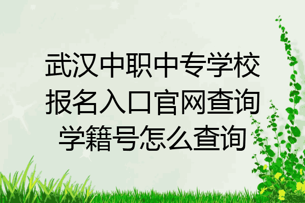 武汉中职中专学校报名入口官网查询学籍号怎么查询