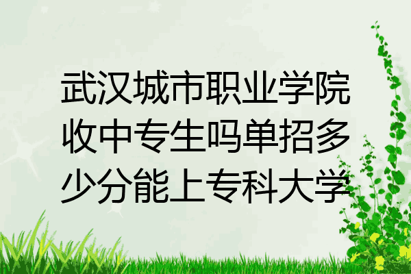 武汉城市职业学院收中专生吗单招多少分能上专科大学