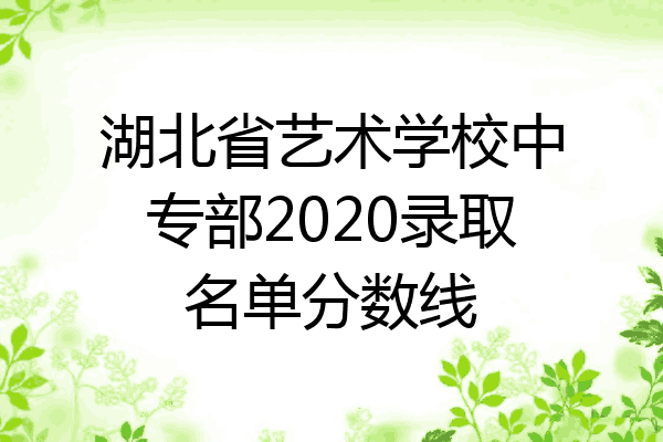 湖北省艺术学校中专部2020录取名单分数线