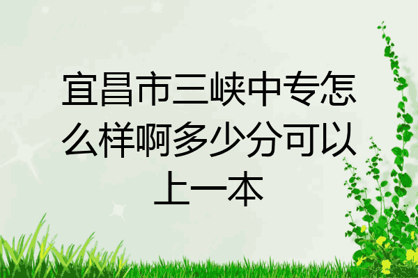 宜昌市三峡中专怎么样啊多少分可以上一本