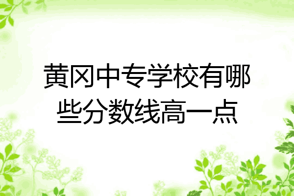 黄冈中专学校有哪些分数线高一点