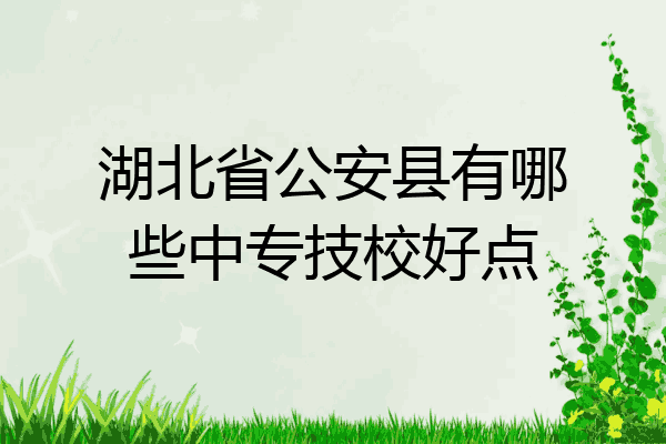 湖北省公安县有哪些中专技校好点