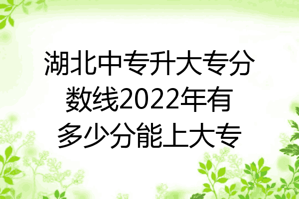 湖北中专升大专分数线2022年有多少分能上大专