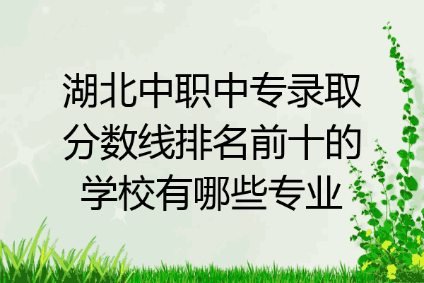 湖北中职中专录取分数线排名前十的学校有哪些专业