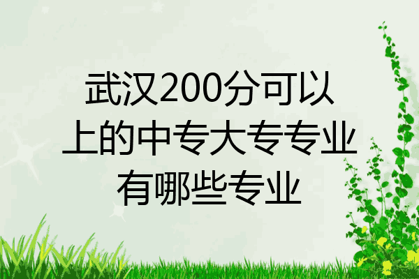 武汉200分可以上的中专大专专业有哪些专业
