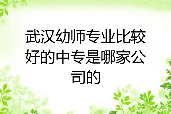 武汉幼师专业比较好的中专是哪家公司的