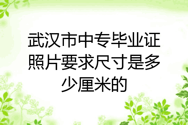 武汉市中专毕业证照片要求尺寸是多少厘米的